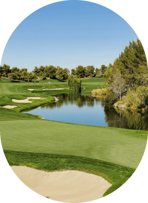 CRF Agritech agronomists working in wheat field with tablet, blue skies in the background